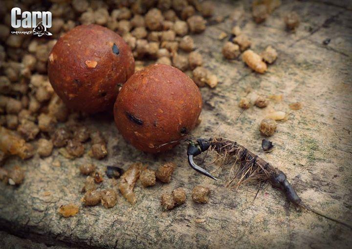 Diverse - img4071664426571.jpeg